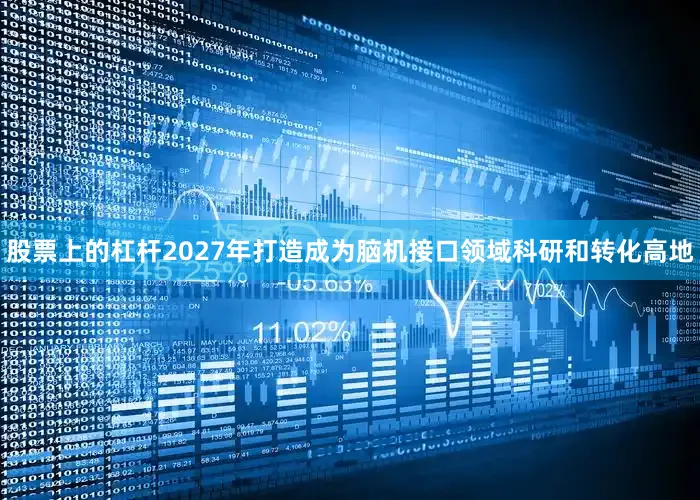股票上的杠杆2027年打造成为脑机接口领域科研和转化高地